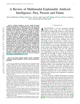 A Review of Multimodal Explainable Artificial Intelligence: Past,
  Present and Future