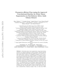 Parameter-efficient Fine-tuning for improved Convolutional Baseline for
  Brain Tumor Segmentation in Sub-Saharan Africa Adult Glioma Dataset