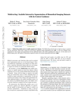 MultiverSeg: Scalable Interactive Segmentation of Biomedical Imaging
  Datasets with In-Context Guidance
