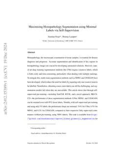 Maximising Histopathology Segmentation using Minimal Labels via
  Self-Supervision