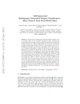 Self-Supervised Radiograph Anatomical Region Classification -- How Clean
  Is Your Real-World Data?