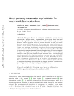 Mixed geometry information regularization for image multiplicative
  denoising