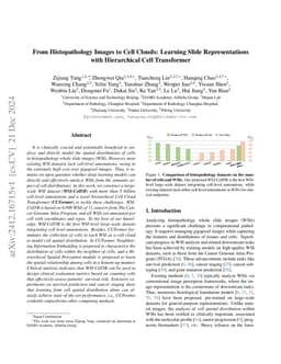 From Histopathology Images to Cell Clouds: Learning Slide
  Representations with Hierarchical Cell Transformer