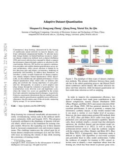 Adaptive Dataset Quantization