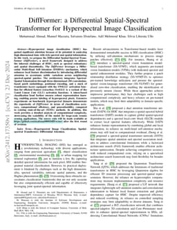 DiffFormer: a Differential Spatial-Spectral Transformer for
  Hyperspectral Image Classification