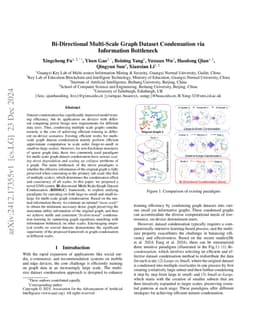 Bi-Directional Multi-Scale Graph Dataset Condensation via Information
  Bottleneck