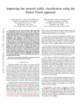 Improving the network traffic classification using the Packet Vision
  approach