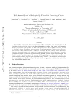 Self-Assembly of a Biologically Plausible Learning Circuit