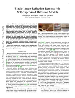 Single-image reflection removal via self-supervised diffusion models