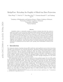 BridgePure: Limited Protection Leakage Can Break Black-Box Data Protection