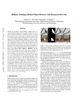 RORem: Training a Robust Object Remover with Human-in-the-Loop