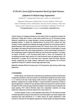 tCURLoRA: Tensor CUR Decomposition Based Low-Rank Parameter Adaptation and Its Application in Medical Image Segmentation