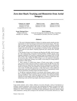 Zero-shot Shark Tracking and Biometrics from Aerial Imagery