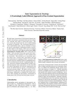 Static Segmentation by Tracking: A Frustratingly Label-Efficient Approach to Fine-Grained Segmentation