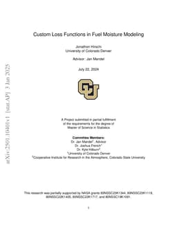 Custom Loss Functions in Fuel Moisture Modeling