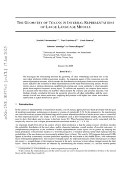 The Geometry of Tokens in Internal Representations of Large Language Models