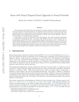 Issues with Neural Tangent Kernel Approach to Neural Networks