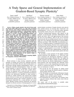 A Truly Sparse and General Implementation of Gradient-Based Synaptic Plasticity