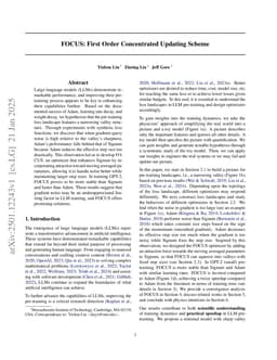 FOCUS: First Order Concentrated Updating Scheme