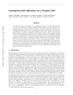 Learning Versatile Optimizers on a Compute Diet