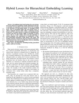 Hybrid Losses for Hierarchical Embedding Learning