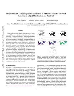 MorphoSkel3D: Morphological Skeletonization of 3D Point Clouds for Informed Sampling in Object Classification and Retrieval
