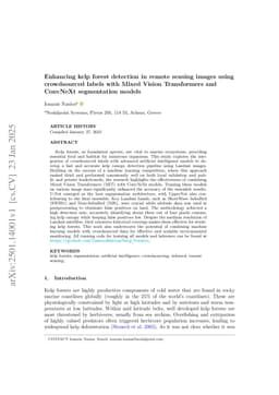 Enhancing kelp forest detection in remote sensing images using crowdsourced labels with Mixed Vision Transformers and ConvNeXt segmentation models