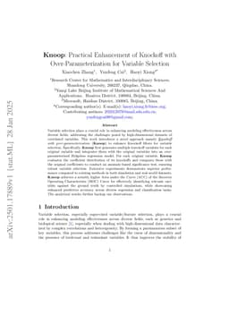 Knoop: Practical Enhancement of Knockoff with Over-Parameterization for Variable Selection