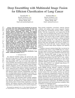 Deep Ensembling with Multimodal Image Fusion for Efficient Classification of Lung Cancer