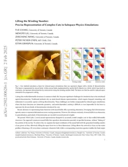 Lifting the Winding Number: Precise Representation of Complex Cuts in Subspace Physics Simulations