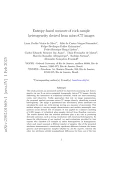 Entropy-based measure of rock sample heterogeneity derived from micro-CT images
