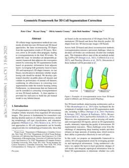 Geometric Framework for 3D Cell Segmentation Correction