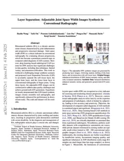 Layer Separation: Adjustable Joint Space Width Images Synthesis in Conventional Radiography