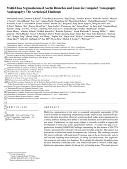 Multi-Class Segmentation of Aortic Branches and Zones in Computed Tomography Angiography: The AortaSeg24 Challenge