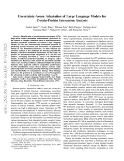 Uncertainty-Aware Adaptation of Large Language Models for Protein-Protein Interaction Analysis