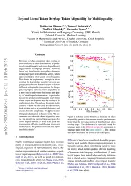 Beyond Literal Token Overlap: Token Alignability for Multilinguality