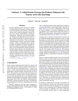 UniZyme: A Unified Protein Cleavage Site Predictor Enhanced with Enzyme Active-Site Knowledge