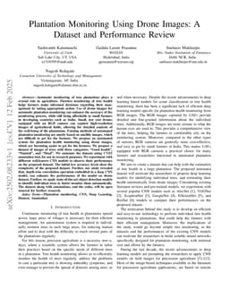 Plantation Monitoring Using Drone Images: A Dataset and Performance Review