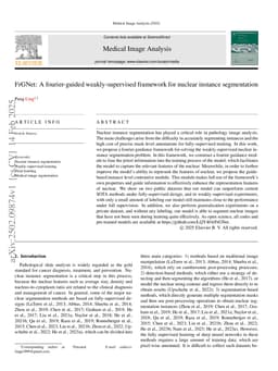 FrGNet: A fourier-guided weakly-supervised framework for nuclear instance segmentation