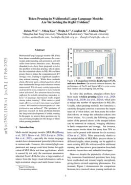 Token Pruning in Multimodal Large Language Models: Are We Solving the Right Problem?