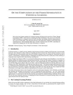 On the Computation of the Fisher Information in Continual Learning