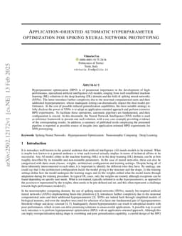 Application-oriented automatic hyperparameter optimization for spiking neural network prototyping
