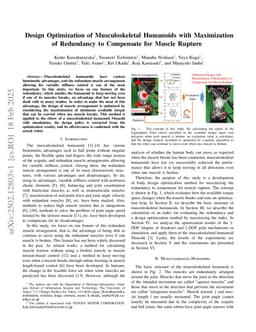 Design Optimization of Musculoskeletal Humanoids with Maximization of Redundancy to Compensate for Muscle Rupture