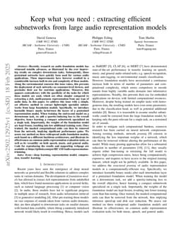 Keep what you need : extracting efficient subnetworks from large audio representation models