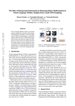 The Role of Background Information in Reducing Object Hallucination in Vision-Language Models: Insights from Cutoff API Prompting