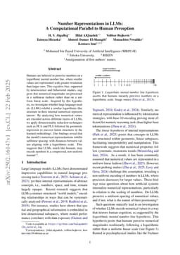 Number Representations in LLMs: A Computational Parallel to Human Perception