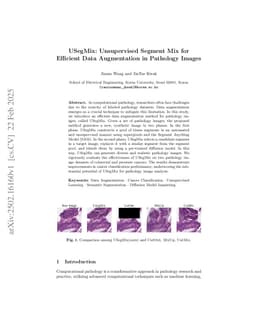 USegMix: Unsupervised Segment Mix for Efficient Data Augmentation in Pathology Images