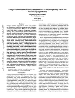 Category-Selective Neurons in Deep Networks: Comparing Purely Visual and Visual-Language Models