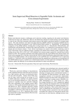 Semi-Supervised Weed Detection in Vegetable Fields: In-domain and Cross-domain Experiments