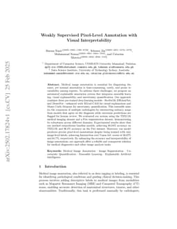 Weakly Supervised Pixel-Level Annotation with Visual Interpretability
